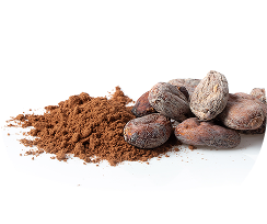 Cocoa powder