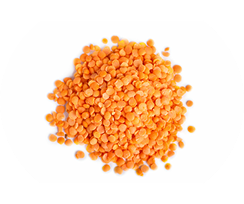 Red lentils
